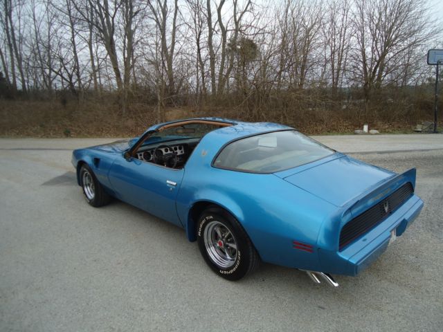 1981 Pontiac Trans Am BLUE - photo 11