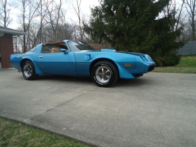 1981 Pontiac Trans Am BLUE - photo 12