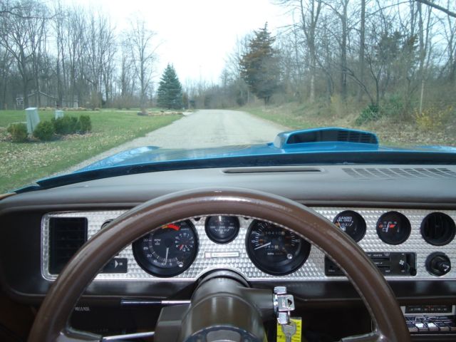 1981 Pontiac Trans Am BLUE - photo 3