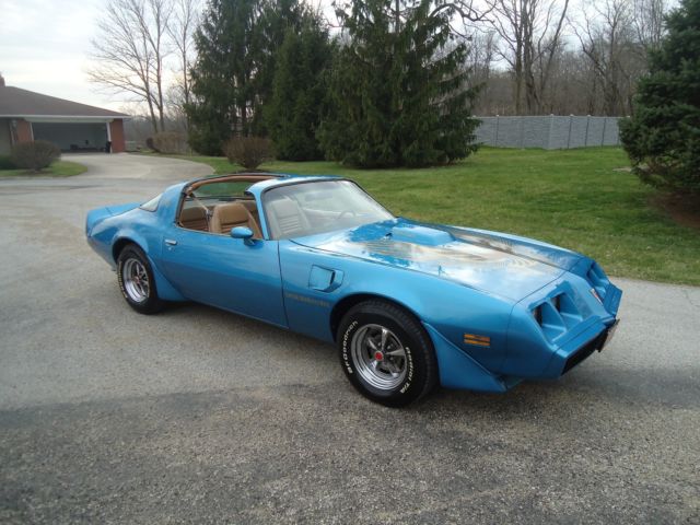 1981 Pontiac Trans Am BLUE - photo 4