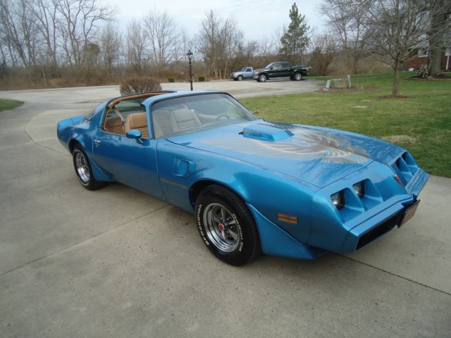 1981 Pontiac Trans Am BLUE - photo 5