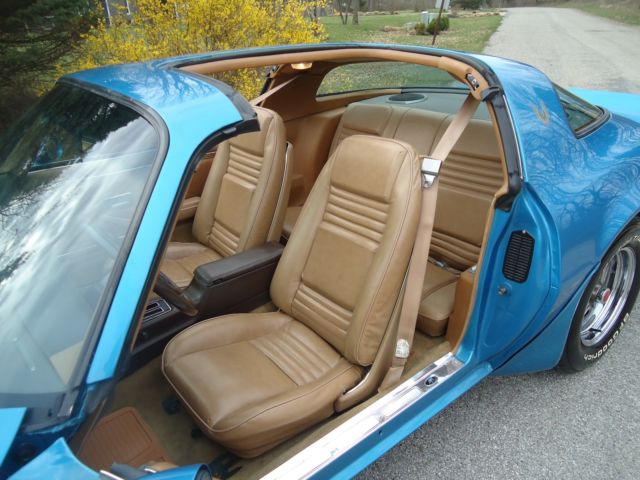 1981 Pontiac Trans Am BLUE - photo 8