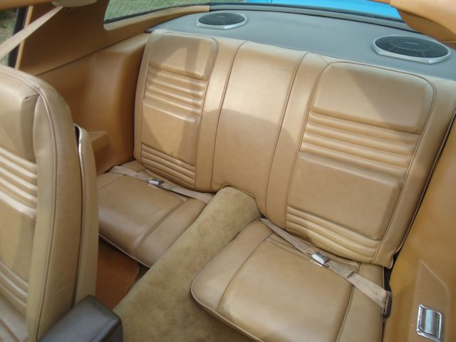 1981 Pontiac Trans Am BLUE - photo 9