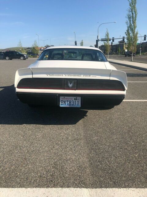 1981 Pontiac Trans Am - photo 10