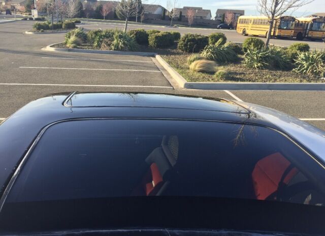 1981 Pontiac Trans Am - photo 13