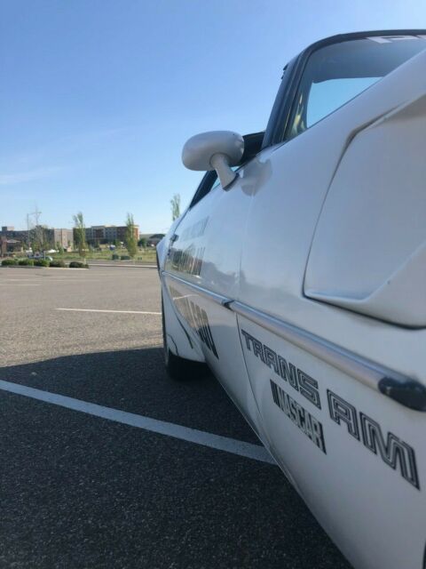 1981 Pontiac Trans Am - photo 6