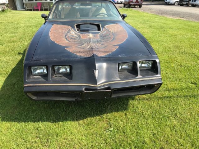 1981 Trans Am rare 4 speed with AC Barn Find! Burt Reynolds Bandit! 1981 Pontiac Trans Am