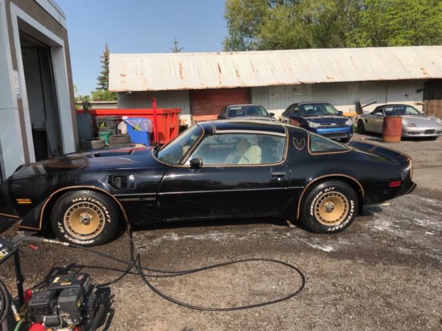 1981 Pontiac Trans Am - photo 2