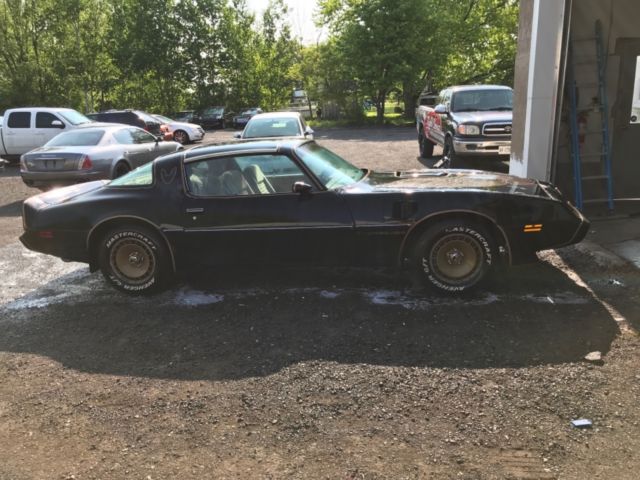 1981 Pontiac Trans Am - photo 3