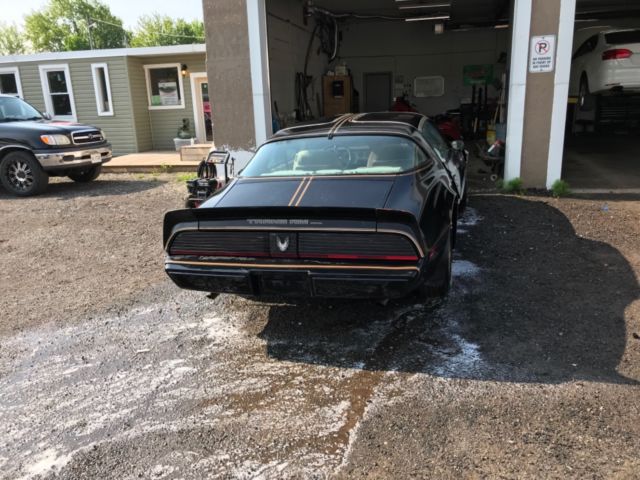 1981 Pontiac Trans Am - photo 4