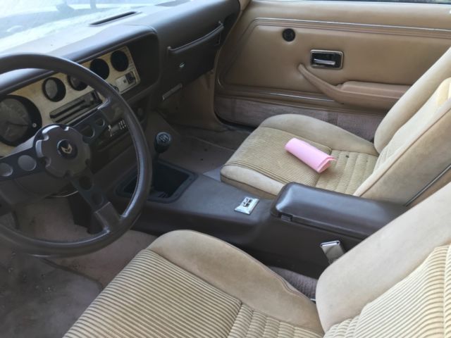1981 Pontiac Trans Am - photo 6