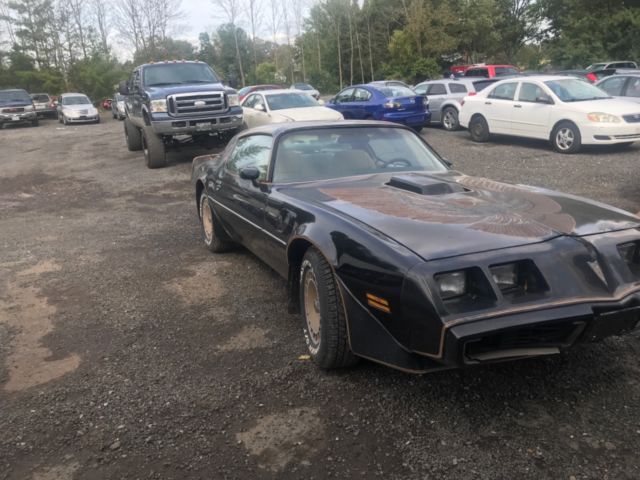 1981 Pontiac Trans Am - photo 10