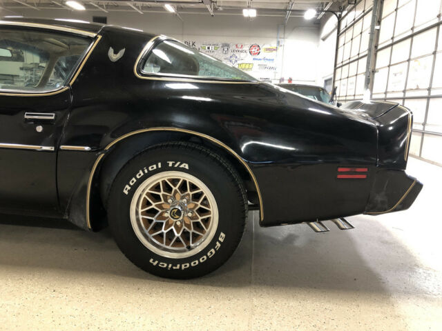 1981 Pontiac Trans Am SE Y84 Special Edition - 6.6 Litre V8, Very Solid - photo 13