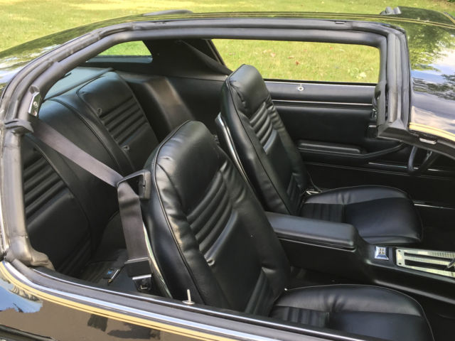 1981 Pontiac Trans Am - photo 11