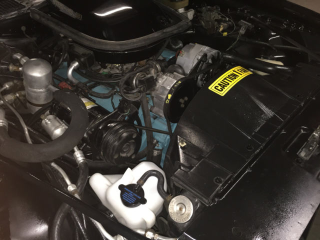 1981 Pontiac Trans Am - photo 12