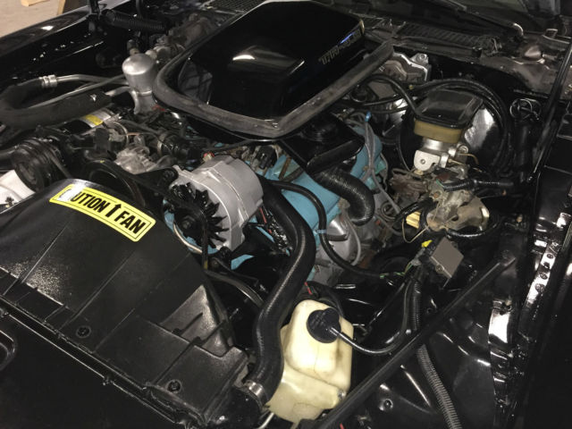 1981 Pontiac Trans Am - photo 13