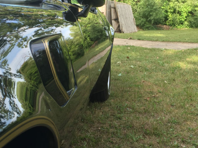 1981 Pontiac Trans Am - photo 4