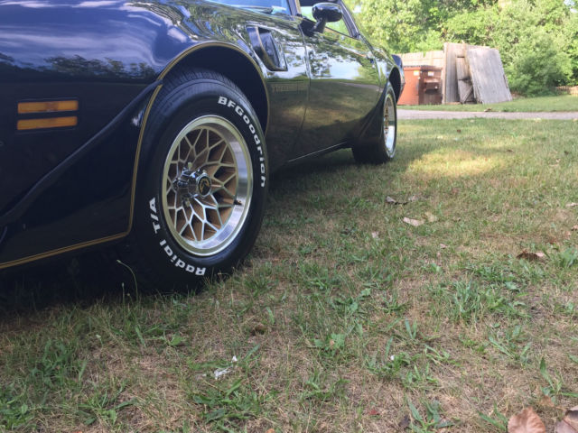 1981 Pontiac Trans Am - photo 5