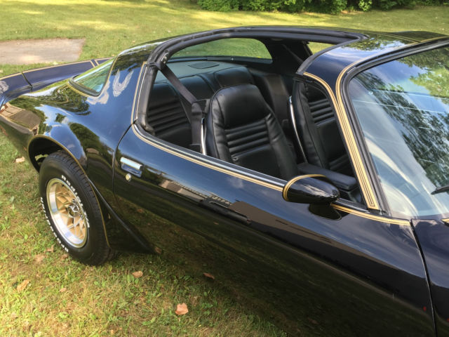 1981 Pontiac Trans Am - photo 7