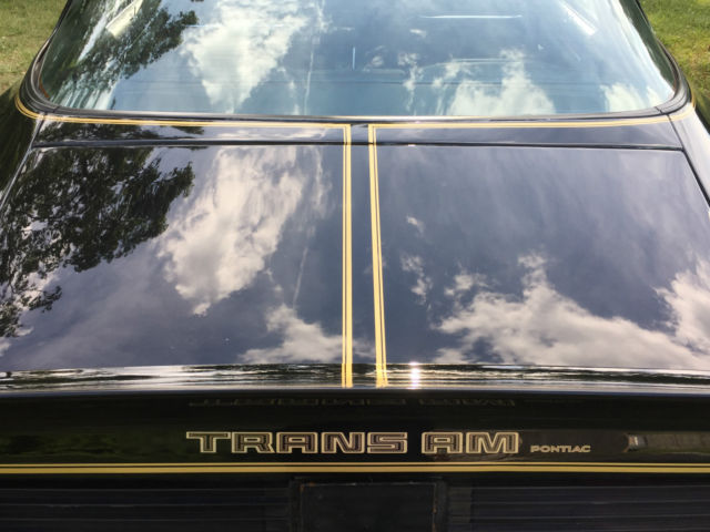 1981 Pontiac Trans Am - photo 8