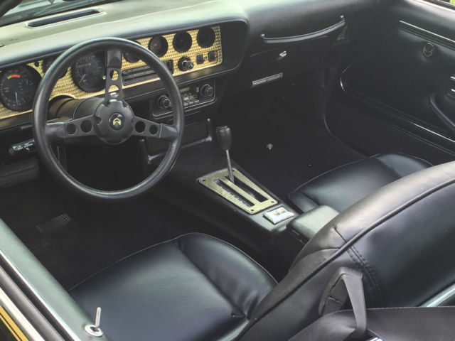 1981 Pontiac Trans Am - photo 9