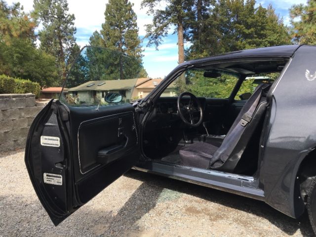 1981 Pontiac Trans Am - photo 10