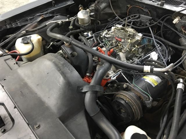 1981 Pontiac Trans Am - photo 11
