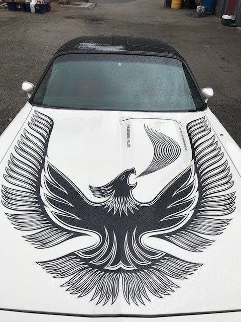 1981 Pontiac Trans Am Daytona Turbo - photo 11