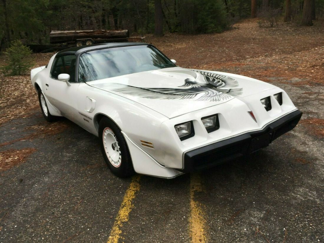 1981 Trans Am Turbo NASCAR pace car Recaro edition 1981 Pontiac Trans Am