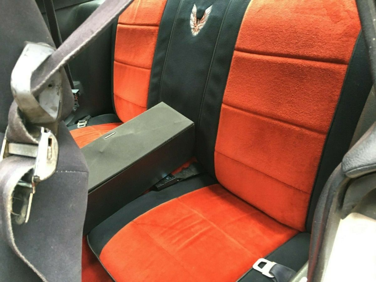 1981 Pontiac Trans Am - photo 11