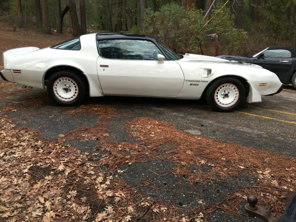 1981 Pontiac Trans Am - photo 12