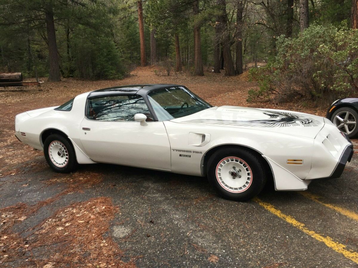 1981 Pontiac Trans Am - photo 3