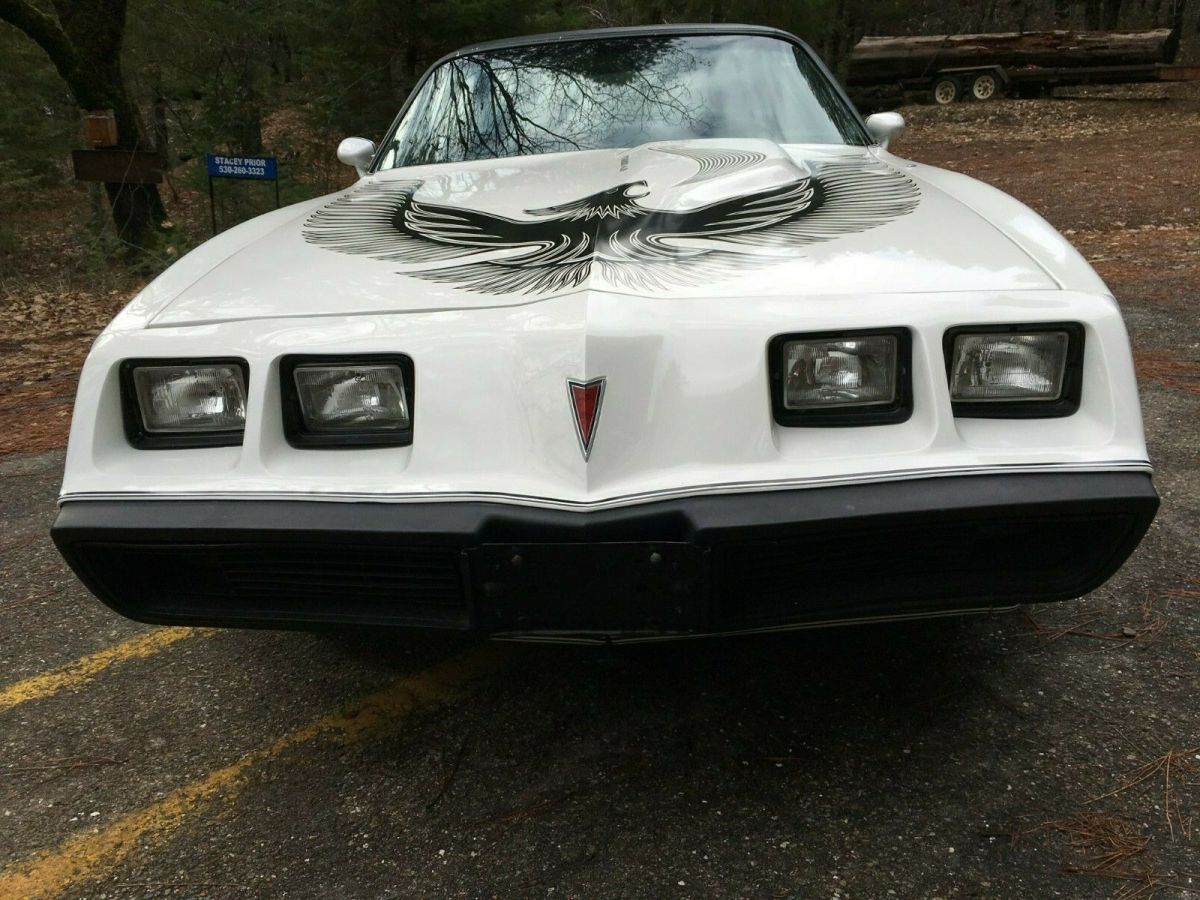 1981 Pontiac Trans Am - photo 6