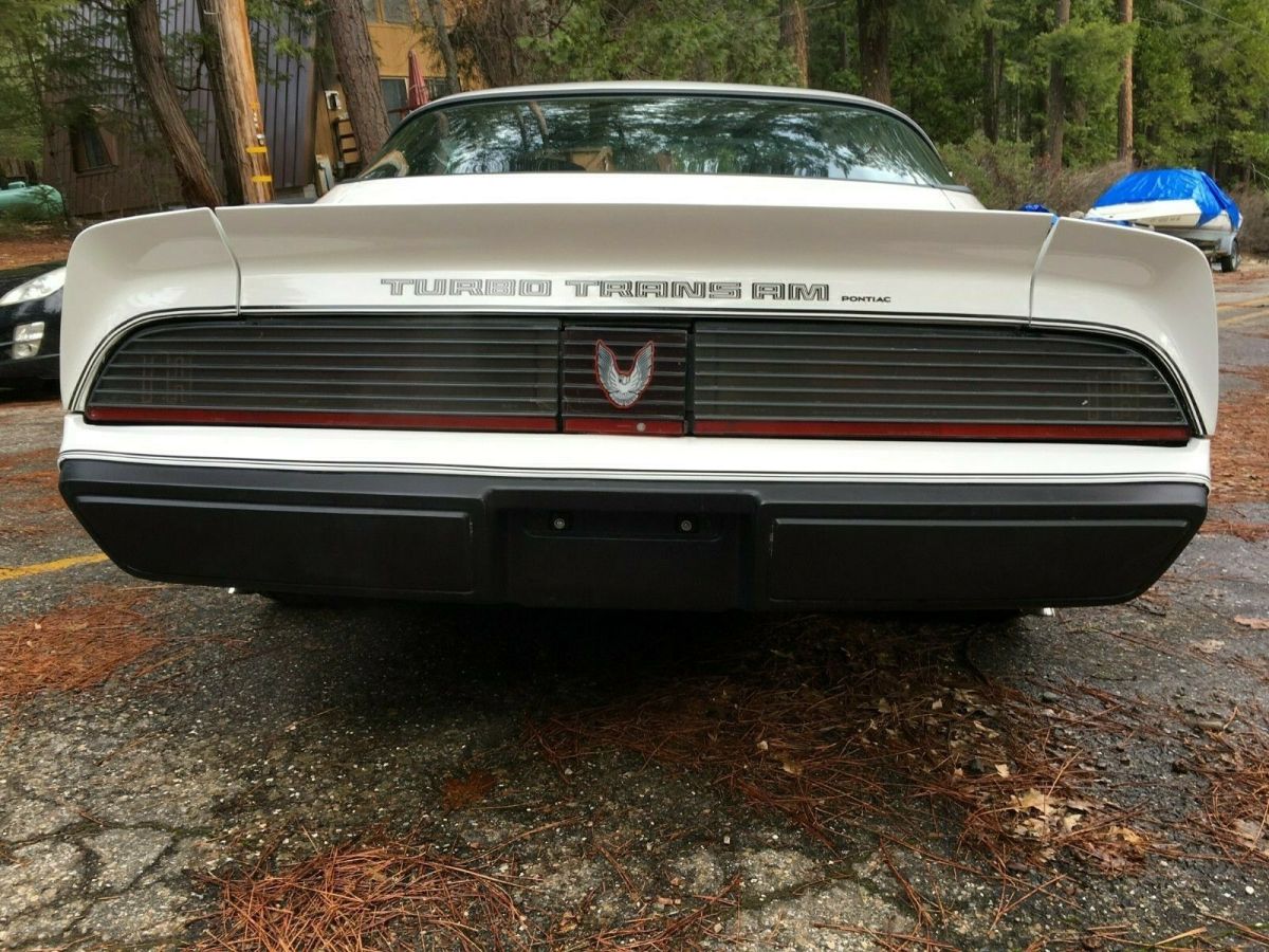 1981 Pontiac Trans Am - photo 7