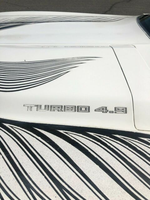 1981 Pontiac Trans Am - photo 12