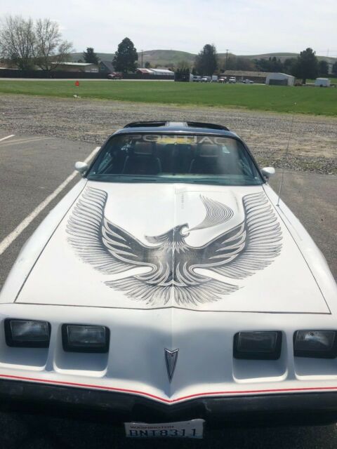 1981 Pontiac Trans Am - photo 2