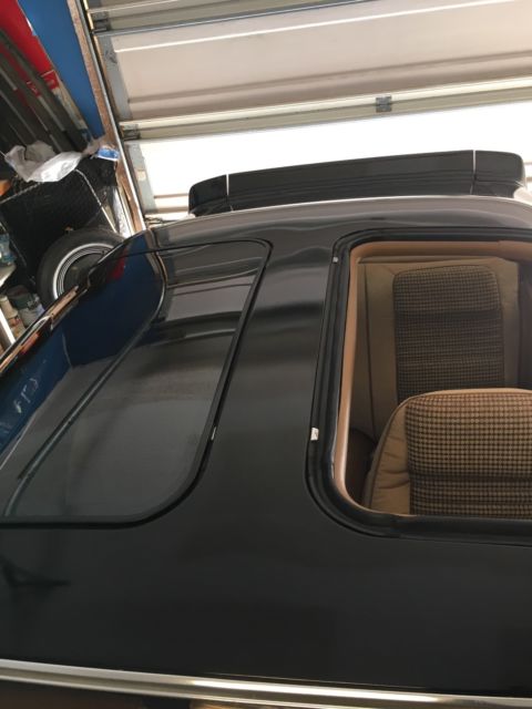1981 Pontiac Trans Am Special Edition Y84 / WS6 / LU8 - photo 11