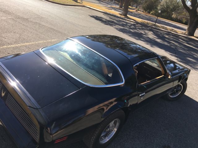 1981 Pontiac Trans Am Special Edition Y84 / WS6 / LU8 - photo 2