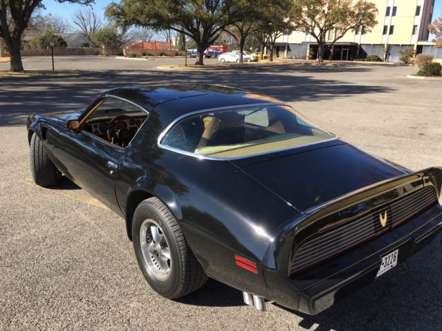 1981 Pontiac Trans Am Special Edition Y84 / WS6 / LU8 - photo 3