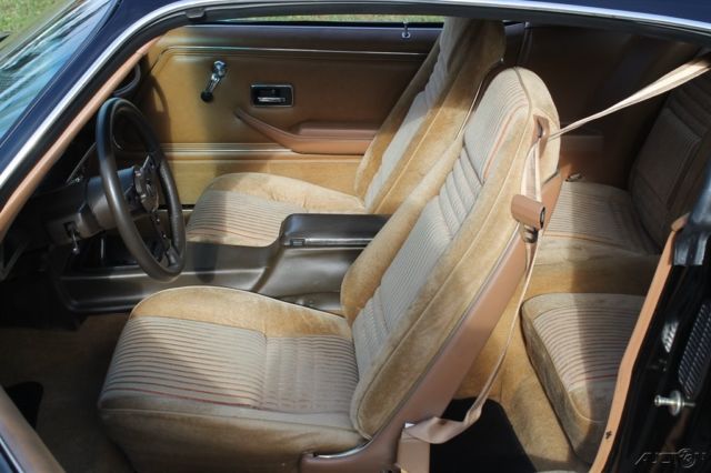 1981 Pontiac Firebird Trans Am Low Miles Restored - photo 5