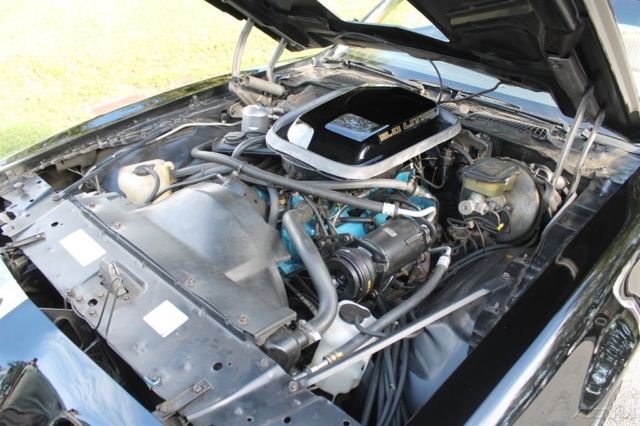 1981 Pontiac Firebird Trans Am Low Miles Restored - photo 7