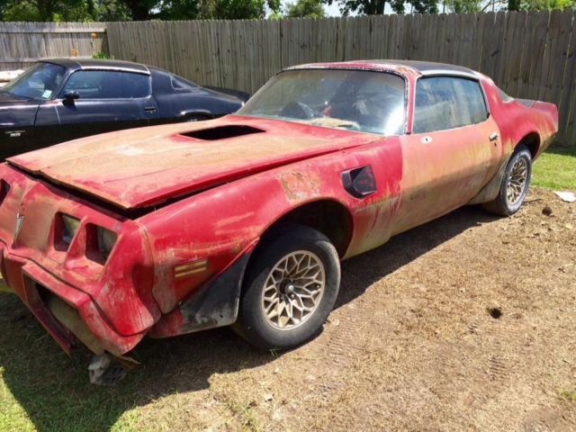 1980 Pontiac Trans Am - photo 5