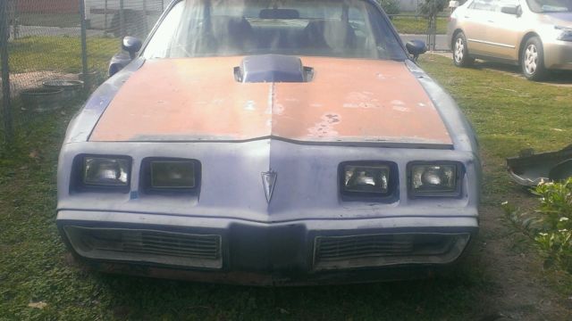 1981 Pontiac Trans Am - photo 2