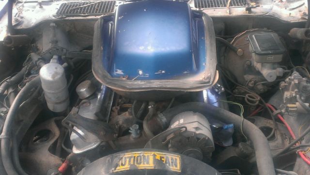 1981 Pontiac Trans Am - photo 5