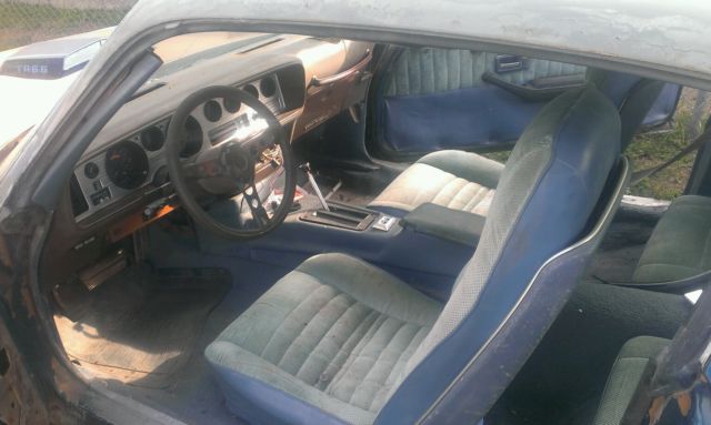 1981 Pontiac Trans Am - photo 7