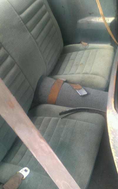 1981 Pontiac Trans Am - photo 9