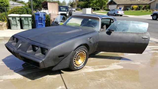 1981 Pontiac Trans Am - photo 13