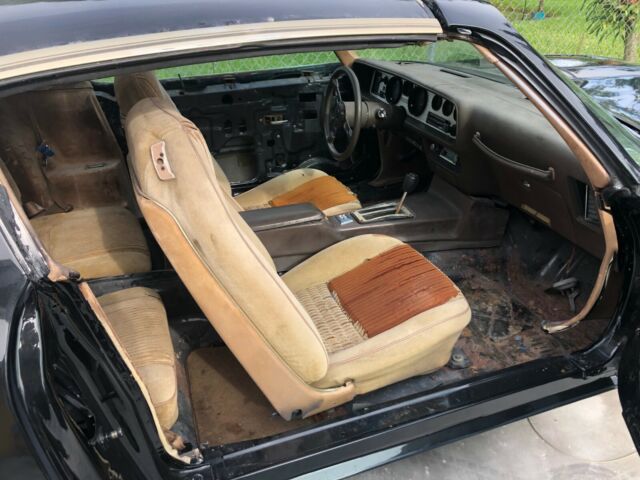1981 Pontiac Trans Am TURBO - photo 5