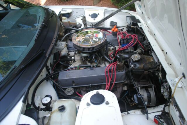 1981 Triumph TR8 - photo 12