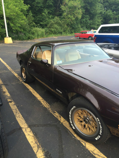 1981 Pontiac Firebird - photo 2